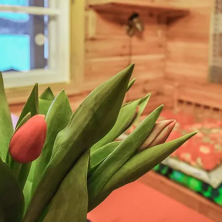 Siesta By Interhome *