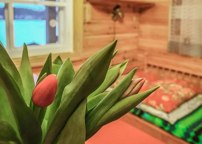 Siesta By Interhome *